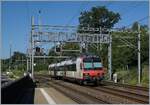 Ein SBB RBDe 560 Domino mit Abt ist in Genthod-Bellevue auf Dienstfahrt in Richutng Genève    19.