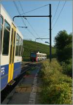 Ein schlechter Sommer 2014 f�r die Bem 550 (bzw.Bem 558)    Zwischen La Plaine und Gen�ve verlieren die SBB Bem 550 ihr Gleichstrom-Einsatzgebiet und die  m1  der TL wird infolge Bauarbeiten diesen