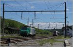 Der westkopf der westlichsten SB Station: Da La Plaine in einigen Jahren komplet umgebaut werden soll, hat man die alten Gleichstrom Fahrleitungsmasten und -Joche bei der Umstellung auf Wechselstrom