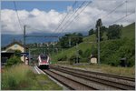 Bei der Umstellung der Stecke Genève - Bellegarde von Gleich- auf Wechselstrom wurden in La Plaine die Gleichstrommaste und Träger für die Wechselstromfahrleitung genutzt, so dass auf