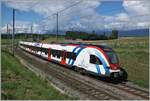 Der SBB LEX RABe 522 215 als SL5 auf dem Weg nach Genève zwischen Russin und Satigny.