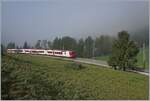 Ein TRAVYS RBDe 560  Domino  kurz nach Le Pont auf der Fahrt in Richtung Vallorbe.