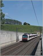Ein SBB Domino ist als R13 von Yverdon nach Biel/Bienne unterwegs und hat soeben den Halt Concise verlassen.