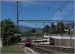 Ein  Kolibri  und ein Domino begegne sich in Auvernier; w�hren der Domino im Regionalzugsdienst Buttes - Neuchatel unterwegs ist, wird der RBDe 562  Kolibiri  Pendelzug als RE via Pontarlier bis nach
