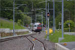 Pumpfel, das Streckenende.

Auch der Eisenbahnfreund wird ein wenig nostalgisch, wenn der NPZ mit zwei F�hrerst�nden und dem Design Schweizer Triebwagen aus den 60er Jahren auftaucht. RABe 567 171 ist noch unver�ndert mit den TPF-Punkten bei der CJ unterwegs. Bonfol, Mai 2024.