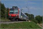 Ein SBB RBDe 560 als S 40 Fribourg - Romont zwischen Rosé und Neyruz unter den wohl letzten alten Fahrleitnungsmasten zwischen St.Gallen und Genève.