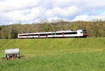 Die Broyetallinie: Den Domino-Zug mit 560 269 an der Spitze wollte ich mit den Kühen an der Zisterne (Tränke) aufnehmen, doch als sie mich sahen, liefen sie davon.