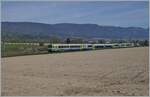 Zwischen Büren an der Aare und Dotzigen ist der BLS RBDe 565 739 mit einem Jumbo B und ABt auf dem Weg von Büren an der Aare nach Lyss. Im Hintergrund der Jura mit der Wandfluh oberhalb von Grenchen. 

19. April 2022