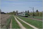 Zwischen Dotzigen und Büren an der Aare ist der BLS RBDe 565 739 mit einem  Jumbo   B und ABt auf dem Weg nach Büren an der Aare. 

19. April 2022 