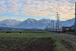 Zugsvielfalt bei Sonnenuntergang an der Bahnstrecke Bern-Thun: Ein Intercity Basel - Interlaken Ost mit einstöckigen IC-Wagen, gestossen von einer Re 460.