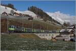 Die BLS Re 4/4 501 ist mit ihrem RE aus EW III bei Garstatt auf dem Weg von Interlaken Ost nach Zweisimmen. 

3. Dez. 2020 
