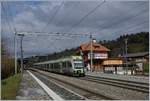 Zwei BLS RABe 535  Lötschberger  nach Brig erreich Mülenen.