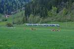 BLS: S2 Laupen BE–Bern–Konolfingen–Langnau im Emmental bestehend aus einer Doppeltraktion RABe 525  NINA  zwischen Konolfingen und Langnau im Emmental unterwegs am 29.