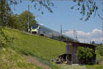 Freundlicherweise bremste RABe 528 124 den Dampfzug aus.