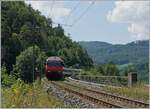 Im Sommer 2018 standen unter anderem auch auf der Hauensteinlinie Baumassnahmen an, so dass die  Alte Hauensteinlinie  in den Genuss von Umleitungsverkehr kam: Dies Bild zeig schön, dass der Rümlinger Viadukt im Bogen liegt und die Strecke früher zweigleisige ausgebaut war. 

18. Juli 2018