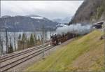 01 202 und 01 1066 mit ihrem Sonderzug M�nchen/Lyss-Locarno bei Sissikon.