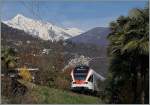 Ein Flirt mitten im Fr�hling bei Locarno.