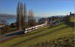 Seetalbahn, RABe 520 000-6 bei Birrwil.