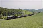 GmP mit A 3/5 705 auf der B�zbergstrecke bei Zeihen anl�sslich des Bahnparkfestes Brugg.