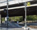 Abschied von einem Unikum, der Mehrsystemoberleitung in Z�rich Giessh�bel.

Hier in Giessh�bel treffen Gleichstrom und Wechselstrom aufeinander. So weicht die 1,2 kV Gleichstromfahrleitung der Uetlibergbahn seitlich aus, hier die linke. Im Sonnenlicht sind die beiden Fahrleitungen nebeneinander gut zu betrachten. Auf dem Nachbargleis der Sihltalbahn rechts gibt es nur die 15 kV Wechselstromleitung. April 2022.