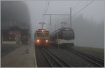 Nachdem der MVR SURF ABeh 2/6 7501 offiziell den Plandienst übernommen hatte, wurde er nachder den Fahrt von Vevey nach Les Pleiades und zurück nach Blonay aus dem Umlauf genommen umd