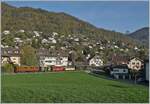  La DER de la Saison!  (Saisonabschlussfeier der Blonay-Chamby Bahn 2022) - Die Bernina Bahn RhB Ge 4/4 81 der Blonay-Chamby Bahn ist mit dem  Riviera Belle Epoque Express  kurz nach Blonay auf dem