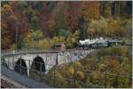 La DER 2021 (Saison Abschluss 2021) Vor dem Hintergrund eines prächtig gefärbten Herbstwaldes fährt die Blonay Chamby G 2x 2/2 105 über den Baye de Clarens Viadukt in Richtung
