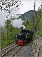 Die SEG G 2x 2/2 105 der Blonay-Chamby Bahn ist kurz nach  vers-chez-Robert  auf der Fahrt nach Chamby.