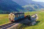 MOB: HEUZUG mit dem BDe 4/4 26 (1912) bei Fleindruz im Sommer 1991.