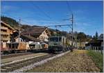 Schönried mit seinem wunderschöne Stationsgebäude und den herrlich krummen Holzmasten.