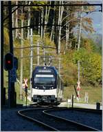 Der MOB Regionalzug 2221, bestehend aus ABe 4/4 9304, Zwischenwagen und Be 4/4 9204 erreicht Les Cases.