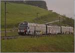Der von Sarah Morris gestaltete Lenkerpendel  Monarch  bestehend aus Bt 241, Be 4/4 5001 und ABt 341, ist bei einem kräftigen Regenschauer bei Planchamp auf dem weg nach Zweisimmen.