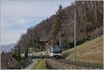 Grosse Überraschung: Der MOB GoldenPass Belle Epoque PE 2224 von Montreux nach Zweisimmen verkehret heute mit der MOB Ge 4/4 8002 an der Spitze und einem Alpina-Triebwagen am Schluss, wobei