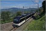 Chamby: Eine schöne Aussicht auf den MVR ABeh 2/6 7503  Blonay-Chamby  und das weite Umland.