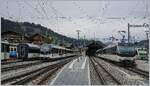 Zweisimmen, bis auf etwas BLS gr�n rechts im Bild und MOB Hellblau im linken Bildteil herrschen die MOB Einheitsfarben vor, die bei diesem dunklen Wetter etwas an Fr�hlichkeit vermissen lassen. Die Ge 4/4 ist mit ihrem Pendelzug in Zweisimmen angekommen und wird nach einer kurzen Wendezeit nach Montreux zur�ck fahren. Links im Bild ist ein ABe 4/4 Alpina Pendel abgestellt, mit  dem ABe 4/4 9304. 

18. August 2020