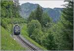 Der Triebwagen Bhe 4/8 303 „Villeneuve“ ist kurz vor Les Hauts de Caux auf Talfahrt. 

24. Juli 2020