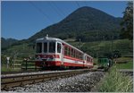 Dies ist kein Archiv-Bild, denn zu meiner grossen Überraschung pendelt der von vielen Bahnfreunden am 19.