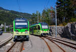 Zwei tpc AOMC/ASD Beh 2/6 meterspurige Triebzüge mit gemischtem Adhäsions- und Zahnradbetrieb vom Typ Stadler SURF stehen am 08 September 2023 im Endbahnhof der AOMC in Champéry (1.037 m ü. M.). Links der Triebzug 544 und rechts 542. SURF steht für Série Unifiée Romande pour Réseau Ferré métrique (Einheitliche Serie für das Westschweizer Meterspurige Schienennetz).

Die AOMC (Chemin de fer Aigle–Ollon–Monthey–Champéry, deutsch Aigle-Ollon-Monthey-Champéry-Bahn, war eine Eisenbahngesellschaft in den Schweizer Kantonen Waadt und Wallis. Sie entstand 1946 aus der Fusion der 1907 eröffneten Chemin de fer électrique Aigle–Ollon–Monthey (AOM) mit der 1909 eröffneten Chemin de fer Monthey–Champéry–Morgins (MCM) und fusionierte 1999 zu den Transports Publics du Chablais (TPC).

Die 23,4 Kilometer lange Strecke der verbindet Aigle durch das Rhonetal mit Monthey (reine Adhäsionsbahn) und führt anschließend als Bahn mit gemischtem Adhäsions- und Zahnradbetrieb nach Champéry im Val d’Illiez. Oben direkt neben dem Endbahnhof Champéry befindet sich die Talstation der Luftseilbahn Champéry-Croix de Culet (Planachaux). 

Im Sommer 2016 wurde die Strecke umfassend modernisiert. Dabei wurden die Zahnstangenabschnitte vollständig erneuert und das bisherige Zahnstangensystem Strub durch Abt-Zahnstangen ersetzt. Weiter wurde die Fahrleitungsspannung von 950 auf 1500 V erhöht. Somit besitzen alle ab Aigle verkehrenden Strecken der TPC das gleiche Zahnstangensystem und die gleiche Spannung. Der Verkehr wird nun vollständig mit den neu abgelieferten Beh 2/6 541–547 abgewickelt. Von den bestehenden Triebfahrzeugen der AOMC wurden einzig die beiden im Jahr 2001 gelieferten Doppeltriebwagen Beh 4/8 591–592 an das neue Zahnstangen- und Stromsystem angepasst.
