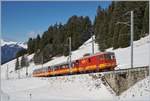 Mit ihrem farblich passenden Zug fährt die BVB TPC HGe 4/4 31 bei Col du Soud Talwärts nach Villars sur Ollon.