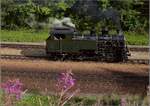 Schon lange wurde an ihr gearbeitet, ab n�chstem Jahr bei der DFB dabei, die Vietnamesin HG 4/4 704.