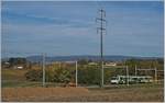 Herbstzeit, Rübenzeit - und die Zuckerrüben wurden bis 2017 im Einzugsgebiet der BAM noch mit der Bahn transportiert und als Besonderheit auf offener Strecke verladen.