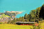 Schynige Platte Bahn: Milchig-grün bis an den oberen Bildrand...