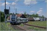 Der AAR ABe 4/12 73  Saphir  verlässt Gontenschwil in Richtung Aarau.