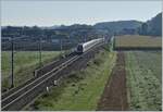 Die beiden ICN RABe 500 von Genève Aéroport nach Rorschach erreichen auf dem Weg zur NBS bei Bolken den ehemaligen Bahnhof  Inkwil ; heute liegt hier eine der drei Weichen der ABS/NBS welche