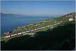 Sommerfahrplan 2018: durch die baubedingte Sperrung der Strecke Lausanne - Puidoux-Chexbres verkehren während des Sommerfahrplan die RE Genève - Vevey via Chexbres weiter bis Fribourg.