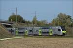 Mutz RABe 515 039 an gleicher Stelle bei Langenthal auf der unteren Strecke. Oktober 2023.