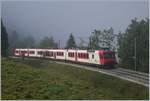Ein TRAVYS Domino erreicht von Vallorbe kommend das Vallée de Joux und somit in Kürze Le Pont.