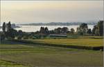 ABDe 4/4 des Vereins historische Mittelthurgaubahn etwas abseits der alten Strecke bei Triboltingen am Untersee.