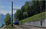 Ein MOB ABDe 8/8 auf seiner Fahrt in Richtung Zweisimmen erreicht den Bahnhof von Sendy-Sollard.
