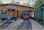 Ein besonderes Bild: Neben der Gastlok Ge 4/4 182 (Bernina Krokodil) zeigt sich die G2x 3/3 102.